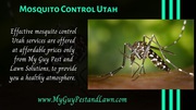 Leading Pest Control Services at Best Rates! 
