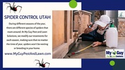 User Spider control services to have a spider free home in Utah