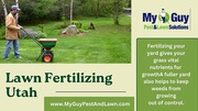 Get a Lush Green Lawn with My Guy Pest and Lawn Fertilization Service