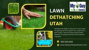 Premium Lawn Dethatching Services in Utah 