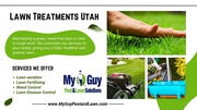 Revive Your Lawn's Health with Expert Lawn Aeration Services in Utah!