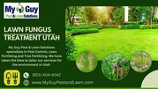 Effective Lawn Fungus Treatment in Utah 