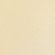 Brighten Your Crafts with Encore Paper: Perfect for Every Project